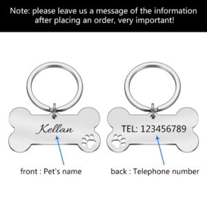 Customized Dog/Cat Tag