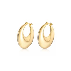 Franchi Hoops Earrings